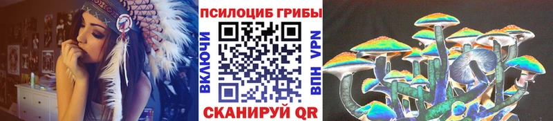 наркота  Собинка  Псилоцибиновые грибы мицелий 